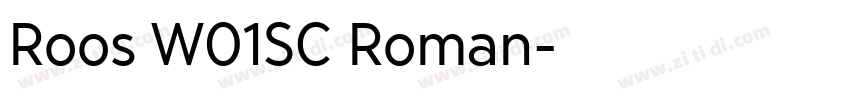 Roos W01SC Roman字体转换